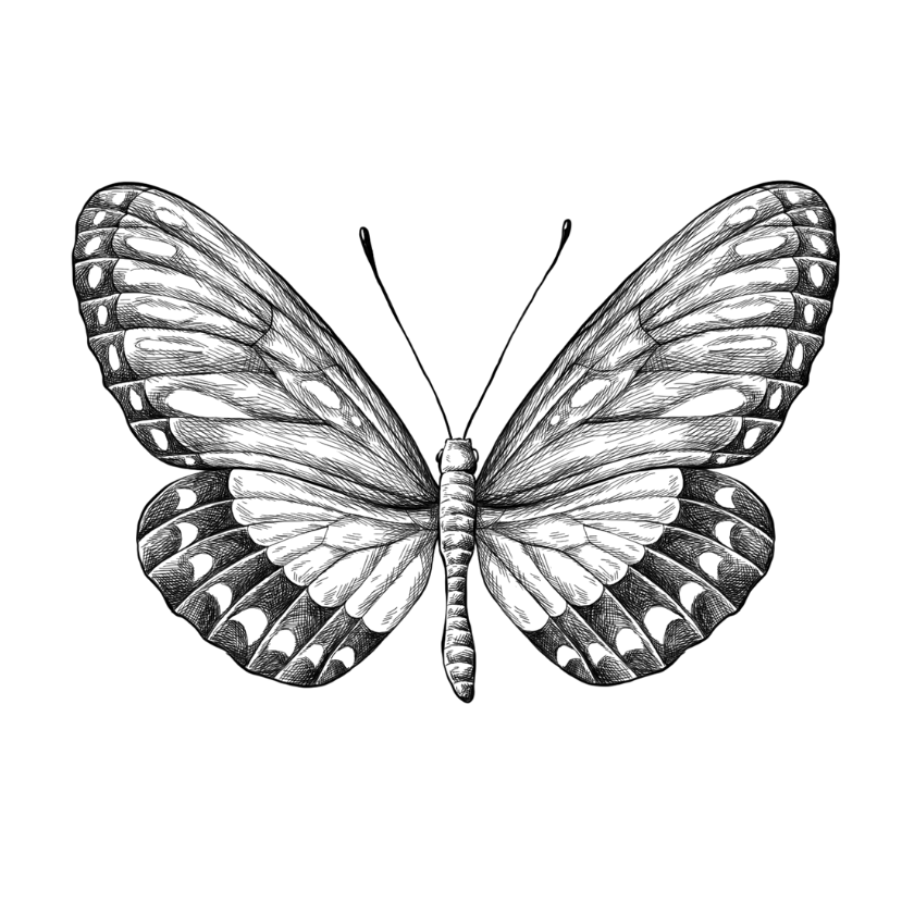 Espacio Mariposa